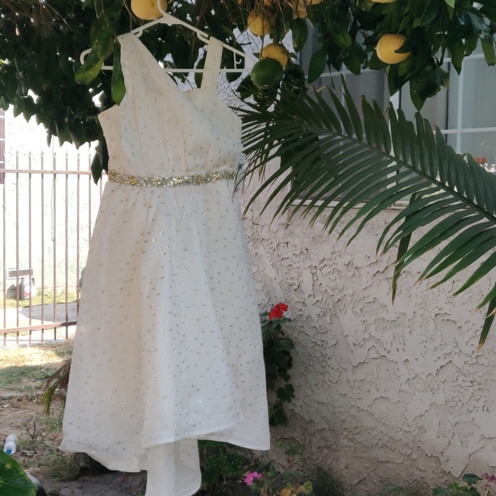 Sequin Hearts Girls dress size 12